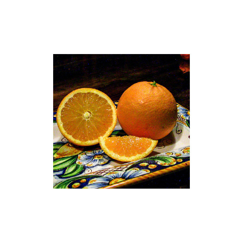 arance tarocco bio igp