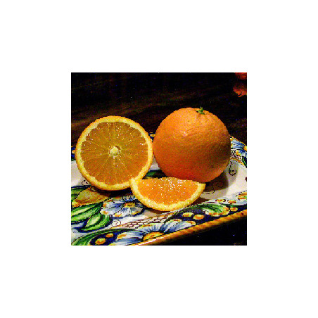 arance tarocco bio igp